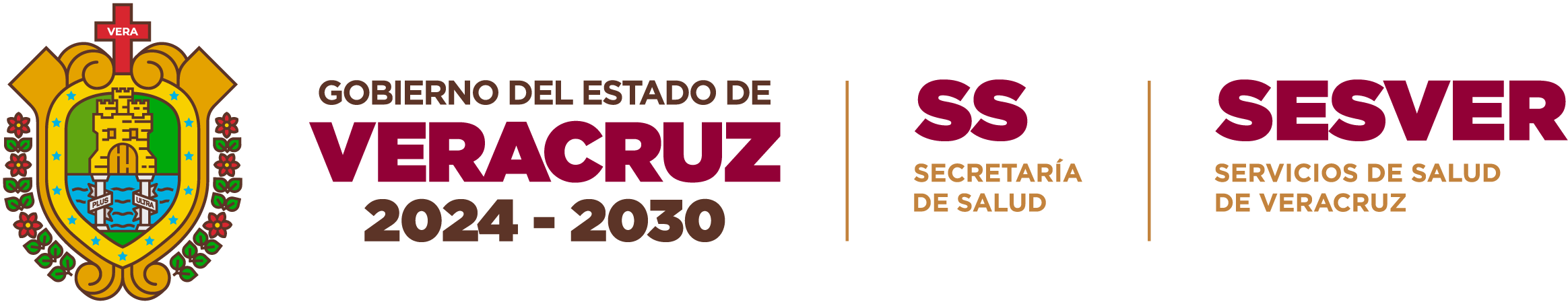 Servicios de Salud de Veracruz